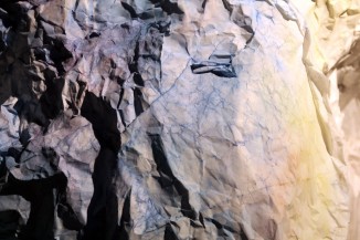 ono_texture